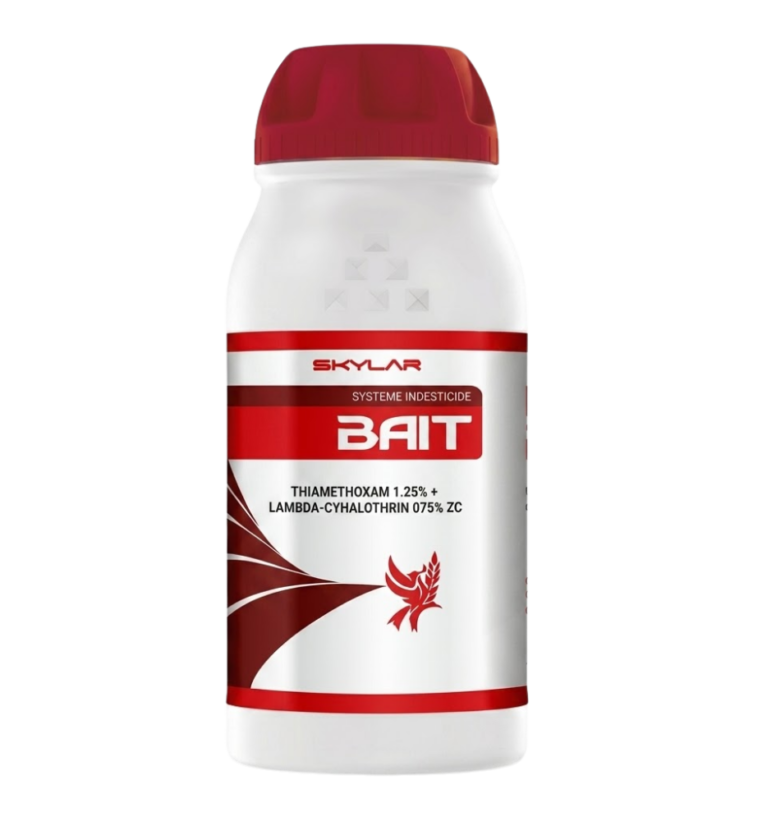 Bait