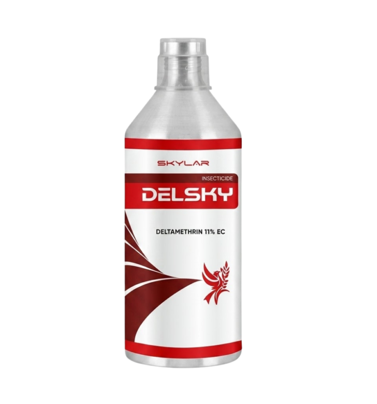 Delsky
