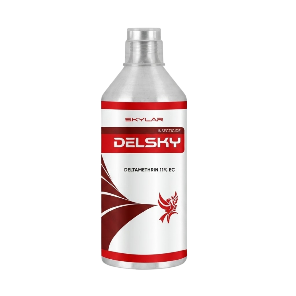 Delsky