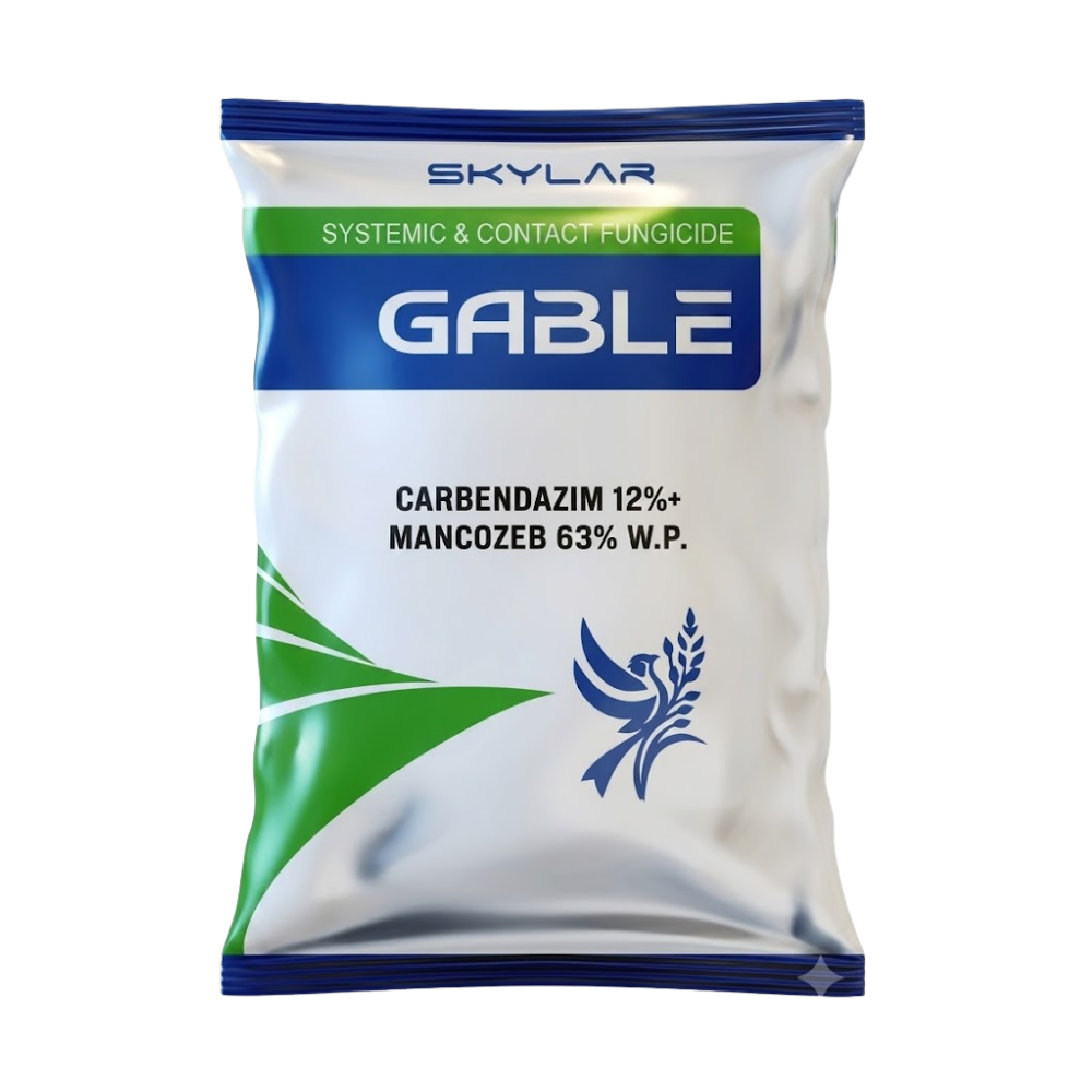 Gable
