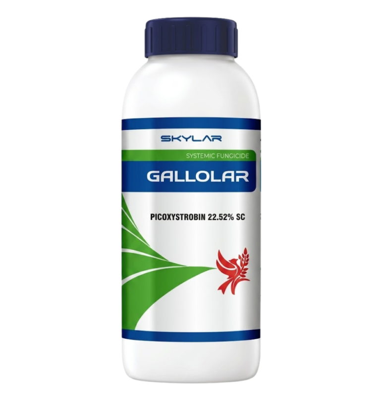 Gallolar