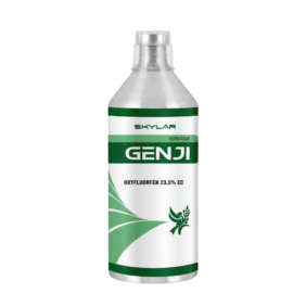GENJI