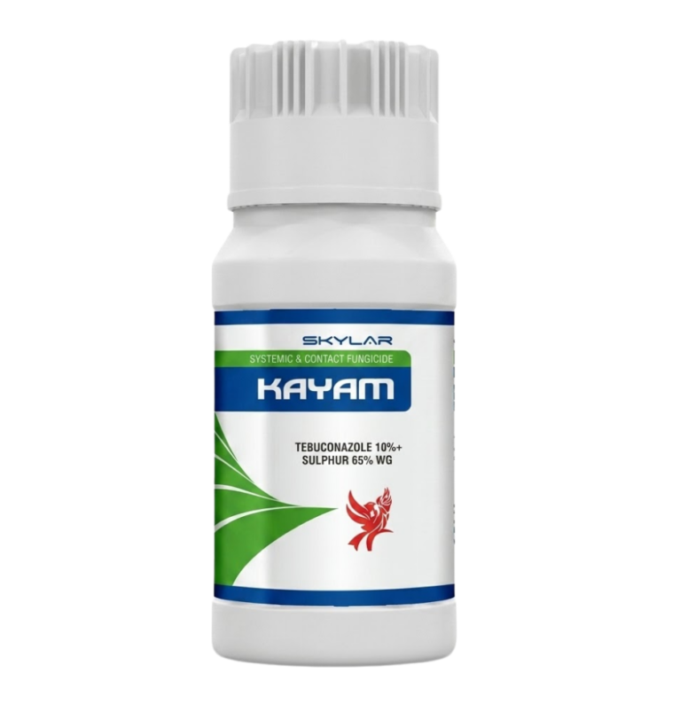 Kayam