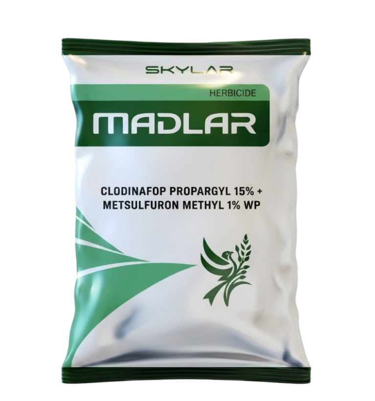 Madlar