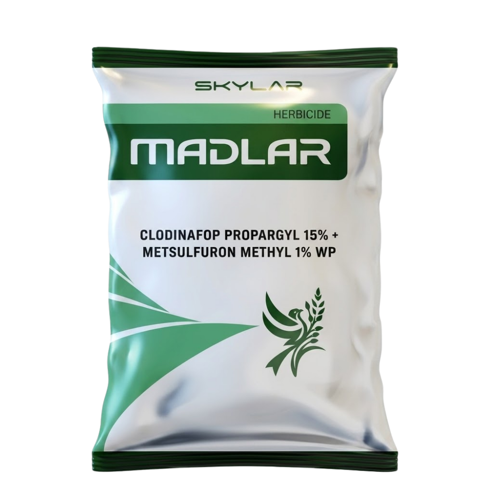 Madlar