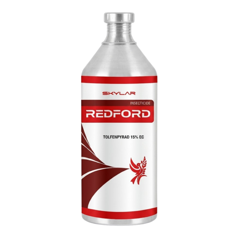 Redford
